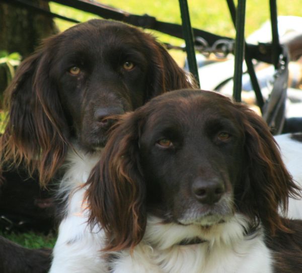 Rina mit ihrer Halbschwester Marpel